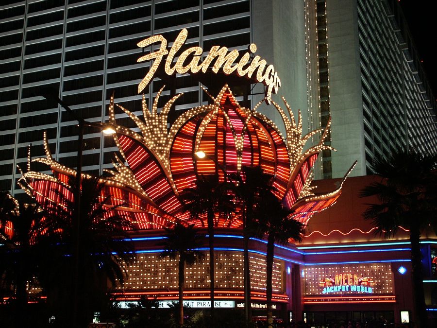 Flamingo